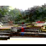 Ayu Novita profile icon