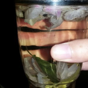 nonton yuk profile icon