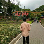 Apif Firdaus profile icon