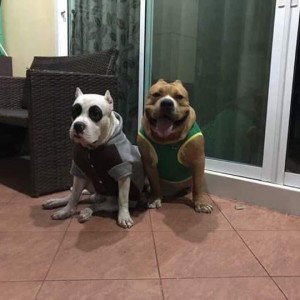 Trần Huệ Mẩn profile icon