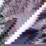 Anisa Dewi Afrilia profile icon