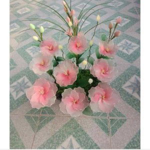 My Đoan profile icon