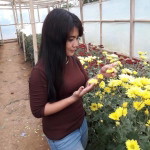 ChiMuet Mamah'e Dex Raffa profile icon