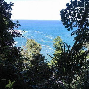 Evi Nurdiana profile icon