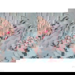 ชนิตรา ฯ. profile icon