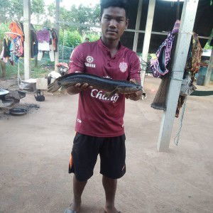 เมธา วิดประโคน profile icon