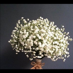 Tia Ramdini profile icon