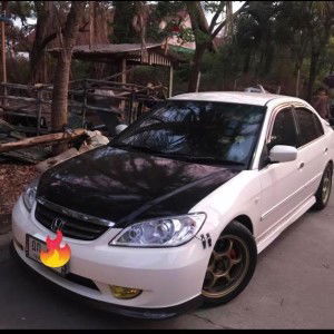 ฟาลิน ฟาลินซาร์ profile icon