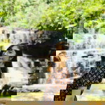 Rungnapa Khiaosiri profile icon