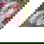 Regina Chin profile icon