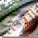 Cheannjoy Barrun profile icon