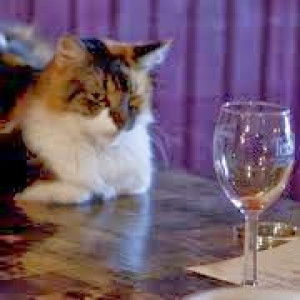 nur rabiatul Adawiyah profile icon