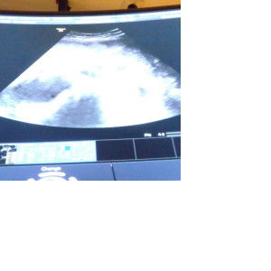 gynecologist profile icon