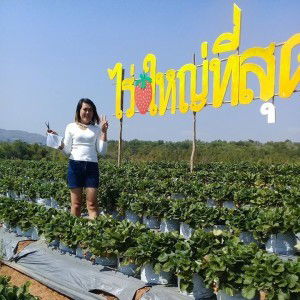 นภาพร พาทอง profile icon