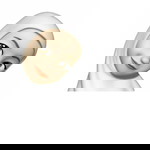 Sischa Arsanti profile icon