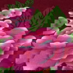 Khaulah Azwar profile icon