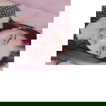 Ina Rohmahwati profile icon