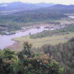 Rina Maulida profile icon