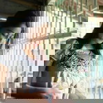 Thalia Stella Jose Cruz profile icon