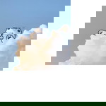 ดีน่า profile icon