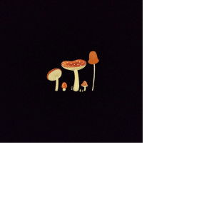 Rahma Wati profile icon