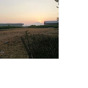 neng gelis profile icon