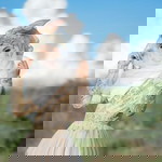 Nisarat Manassanan profile icon