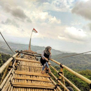 Dini Antika Pertiwi profile icon