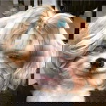 นะ' นุ่น profile icon