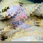 Aam Aminarsih profile icon