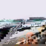 กนกวรรณ แก้วเจือ profile icon