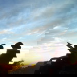 Santie Adriani profile icon