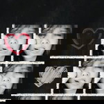 Elli Redaniel profile icon