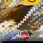 Ai Zah Pesi Nable profile icon