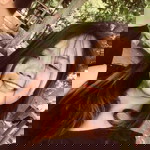 Kieth Ganea profile icon