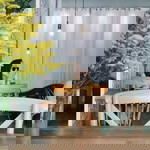 Ning Chananya profile icon