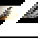 Jeane w profile icon