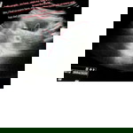 Diara Ega profile icon