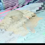 นภาวรรณ อ่อนสุข profile icon