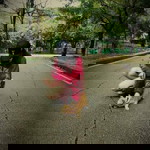 กี้ 'กิติยา profile icon