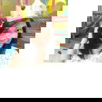 Nic profile icon