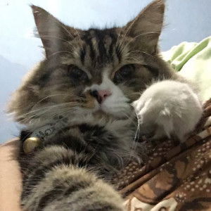 Juwita Eka Saputri profile icon