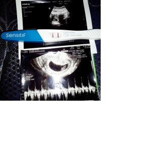 sandi meidadiana profile icon