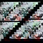 Erb Hataitip profile icon