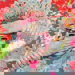 Siti Hajeriani Rahman profile icon