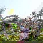 Yani Yani profile icon