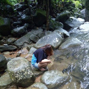 Arisa Maneepet profile icon