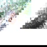 NOOR AZIAH BINTI MOHAMAD AMIN profile icon