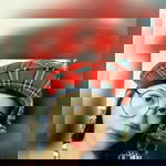 Jaimelyn Espares Sibug profile icon