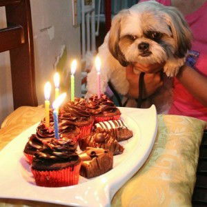 Roann Perez Dela Cruz profile icon